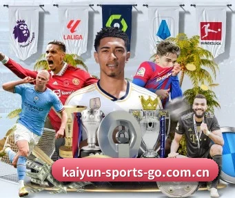 kaiyun官方官网 APP
