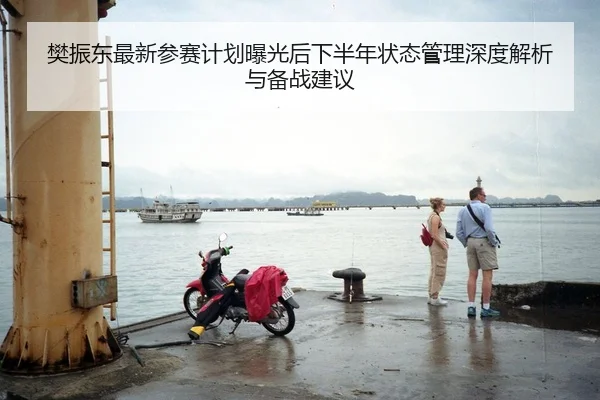 樊振东最新参赛计划曝光后下半年状态管理深度解析与备战建议