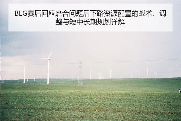 BLG赛后回应磨合问题后下路资源配置的战术、调整与短中长期规划详解